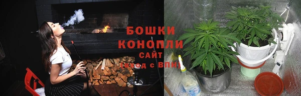 прущие крисы Верея