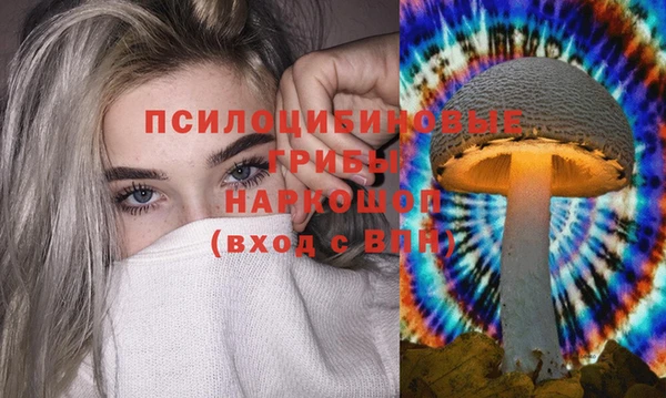 спайс Верхний Тагил
